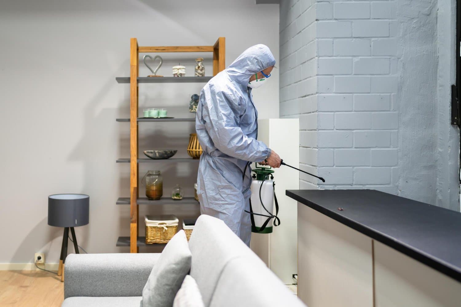 Kammerjäger Notdienst: Der erste Schritt zu einem schädlingsfreien Zuhause