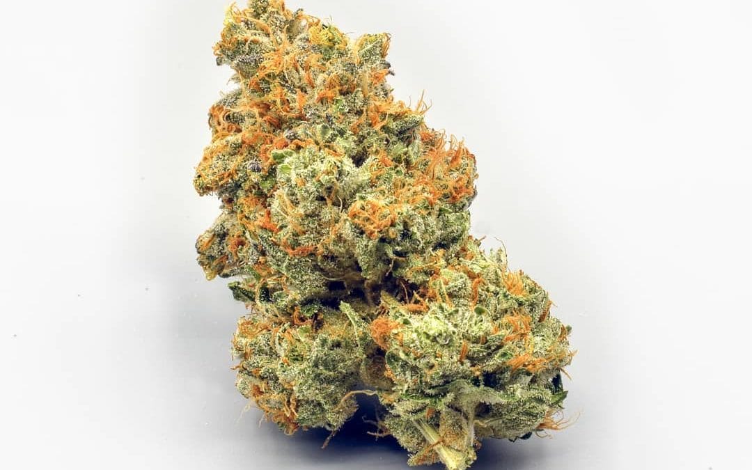 Verständnis von Marihuanasamen: Essentielle Cannabis-Samen
