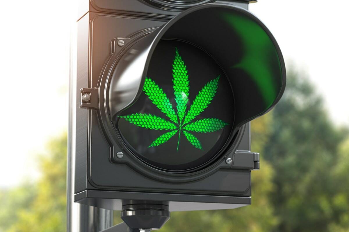 Diese Hersteller garantieren Top-Qualität – Cannabissamen kaufen legal in Deutschland