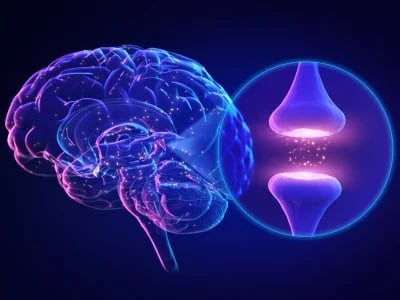 Neuroplastizität und Gewohnheiten mit Expertenfakten