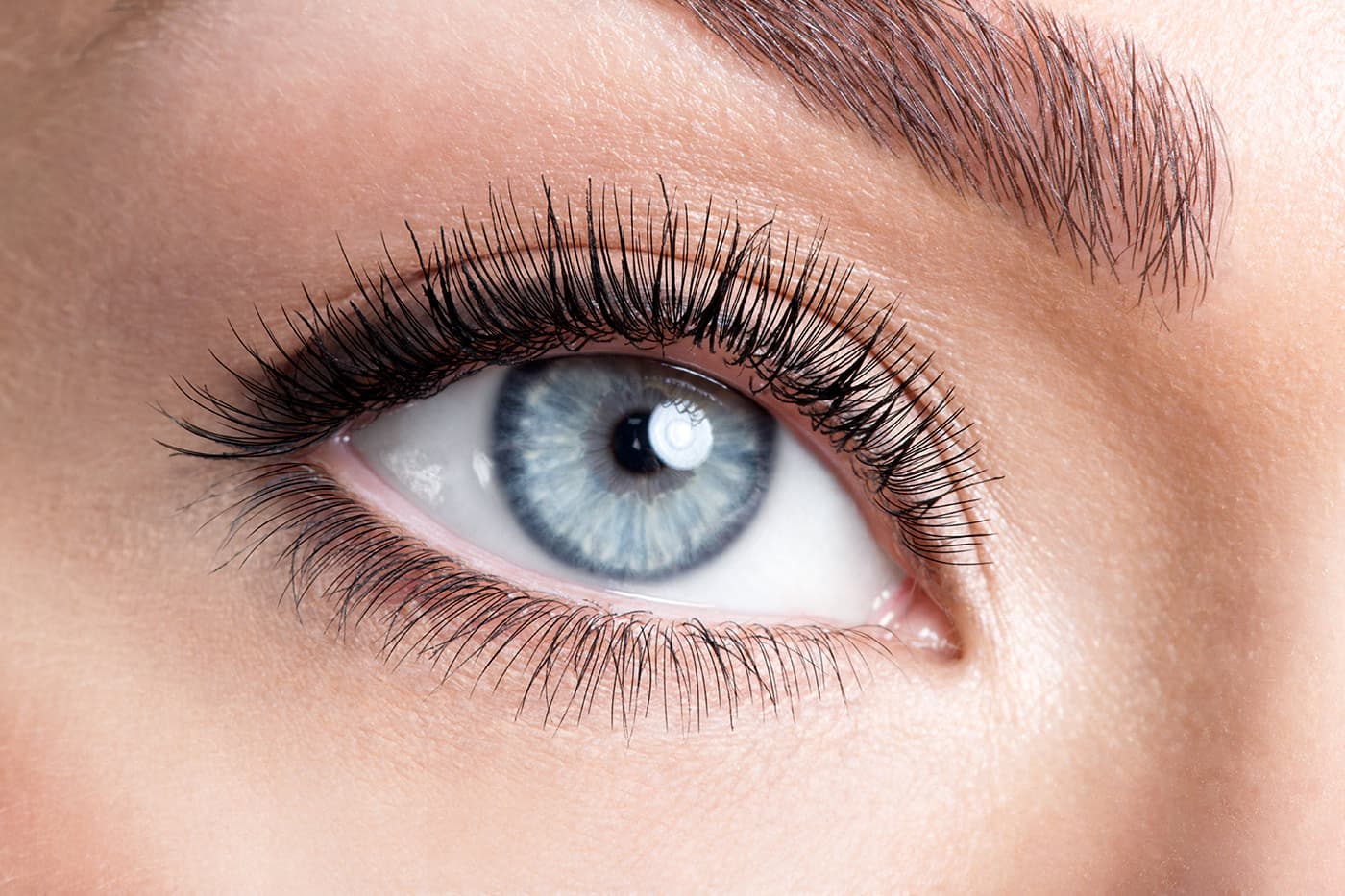 Mit LashLink’s Wimperverlängerung Wimpern Ihre Augen in Szene Setzen