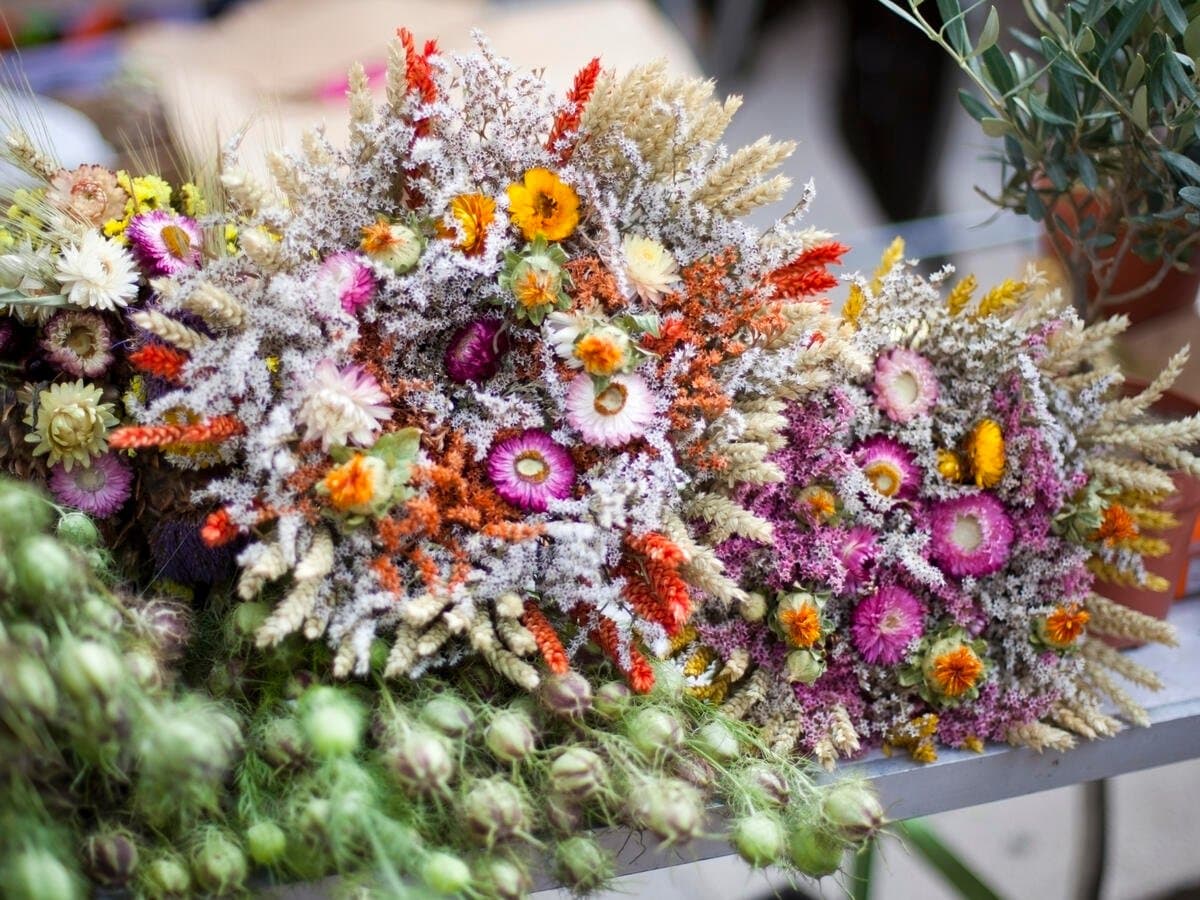 Blumen trocknen: Kreative Methoden und Tipps für beeindruckende Ergebnisse