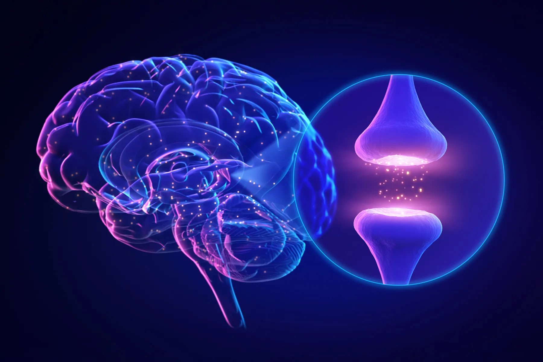 Neuroplastizität und Gewohnheiten mit Expertenfakten